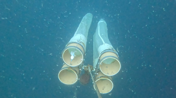 Дмитрий Патрушев: Результаты Большой африканской экспедиции станут основой для расширения российского рыболовного промысла.