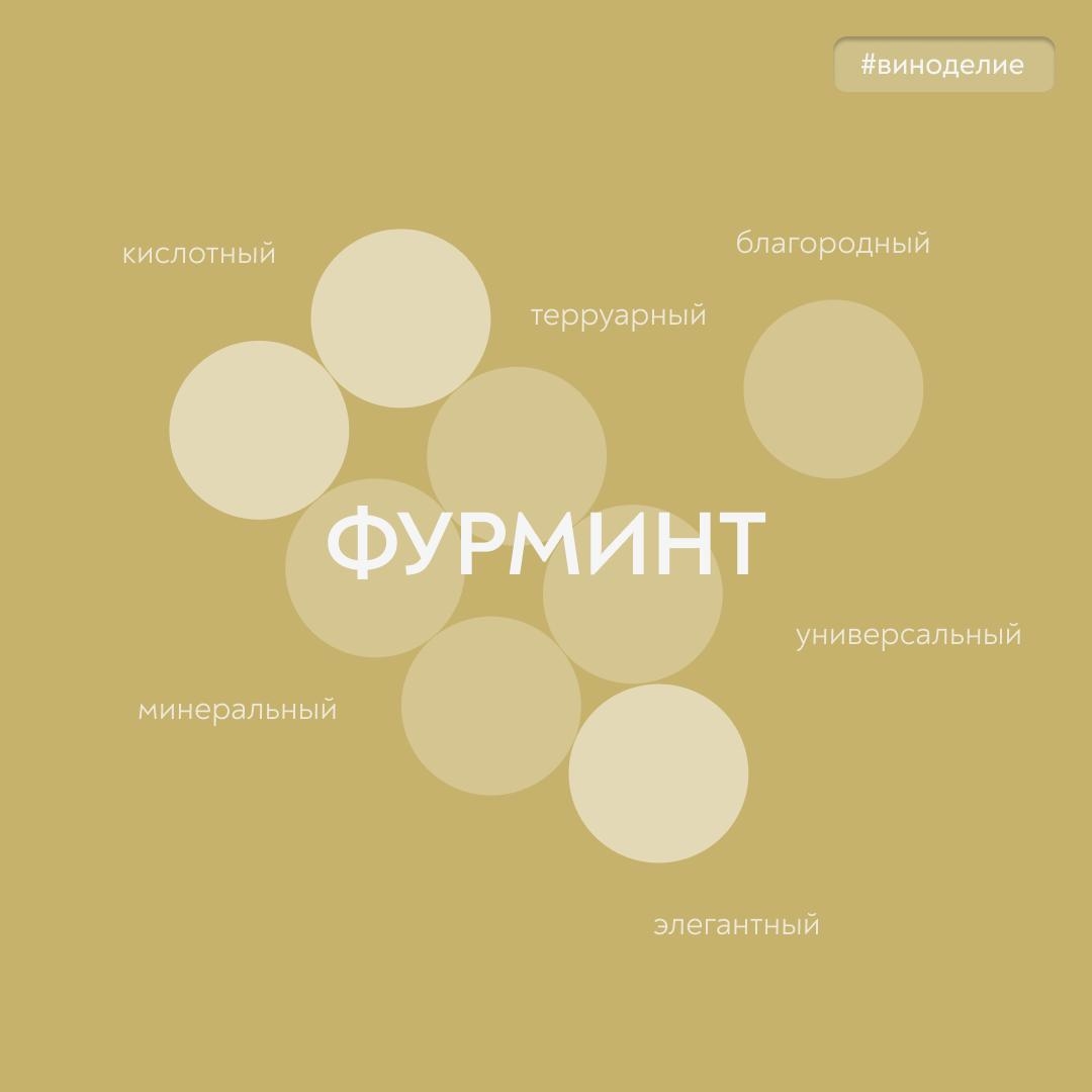 Элегантный Фурминт Сегодня в нашей с «Винным гидом России» рубрике #вино_недели рассказываем о венгерской легенде – сорте белого винограда Фурминт
