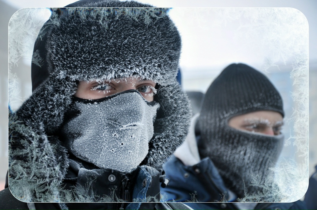 Лютые морозы и сугробы по пояс В таких условиях прошла третья зимняя полевая школа Заполярного государственного университета