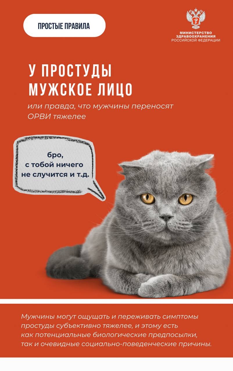 #ПростыеПравила: Правда ли, что мужчины переносят простуду тяжелее?