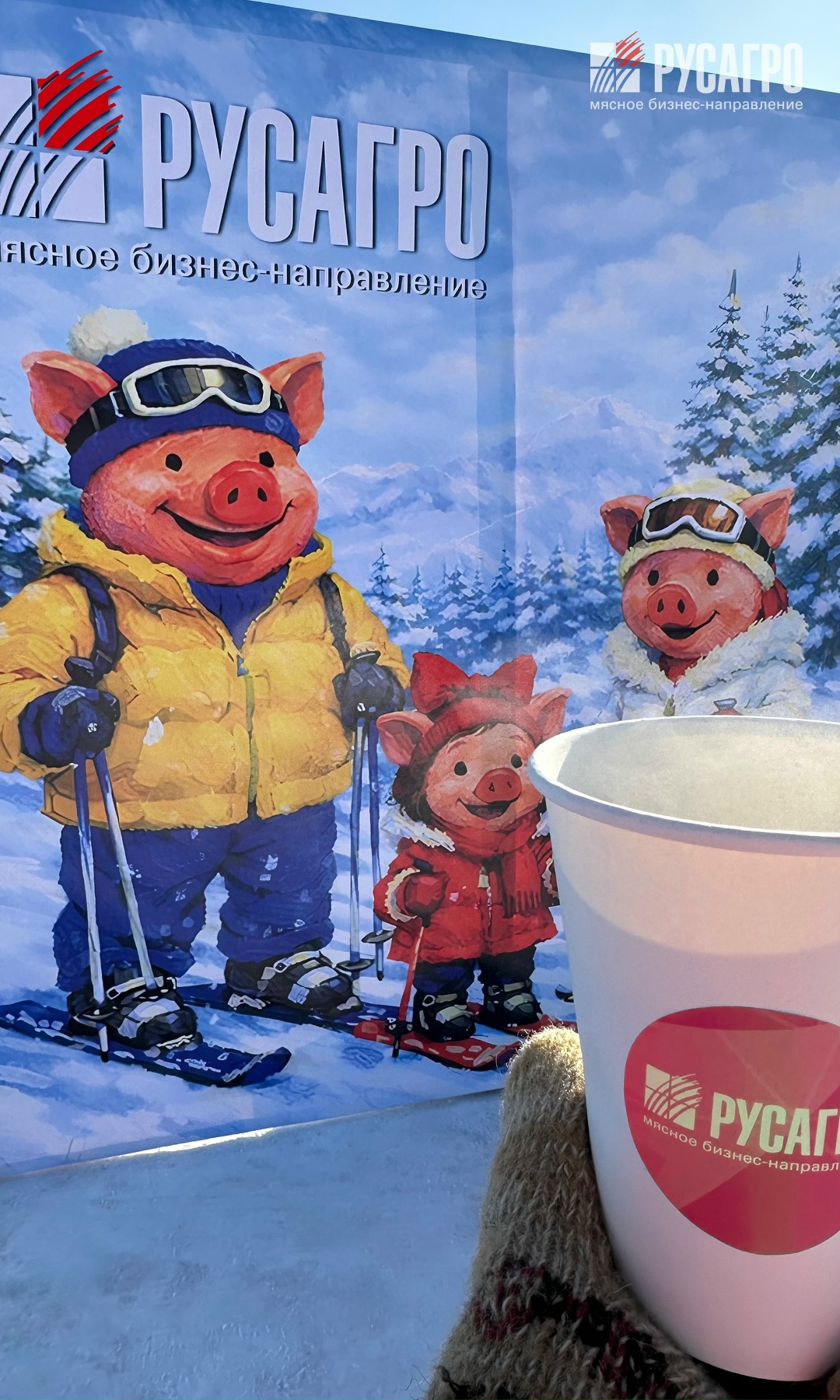 Сегодня в Уссурийске прошла ежегодная всероссийская открытая массовая гонка «Лыжня России» - одно из самых масштабных спортивных событий страны