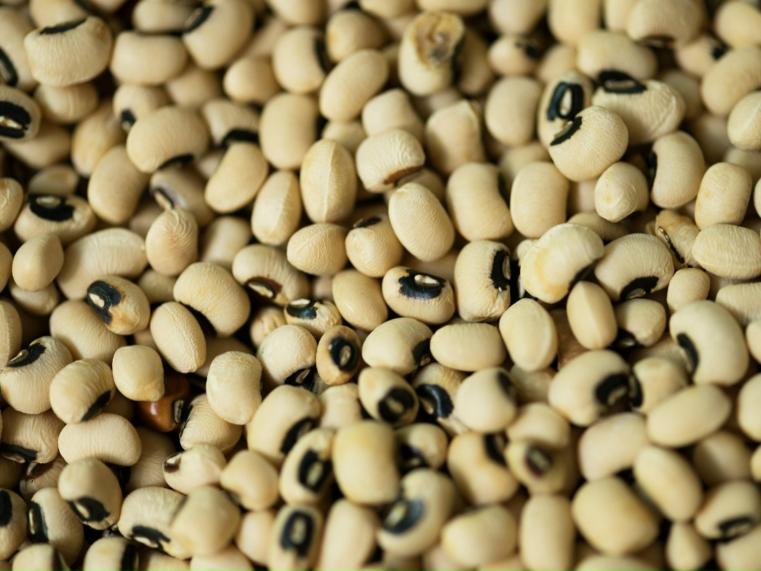 По итогам 2025 года Россия впервые стала нетто-экспортером соевых бобов. По данным Центра ценовых индексов, которые приводит «Коммерсантъ», в прошлом году наша…