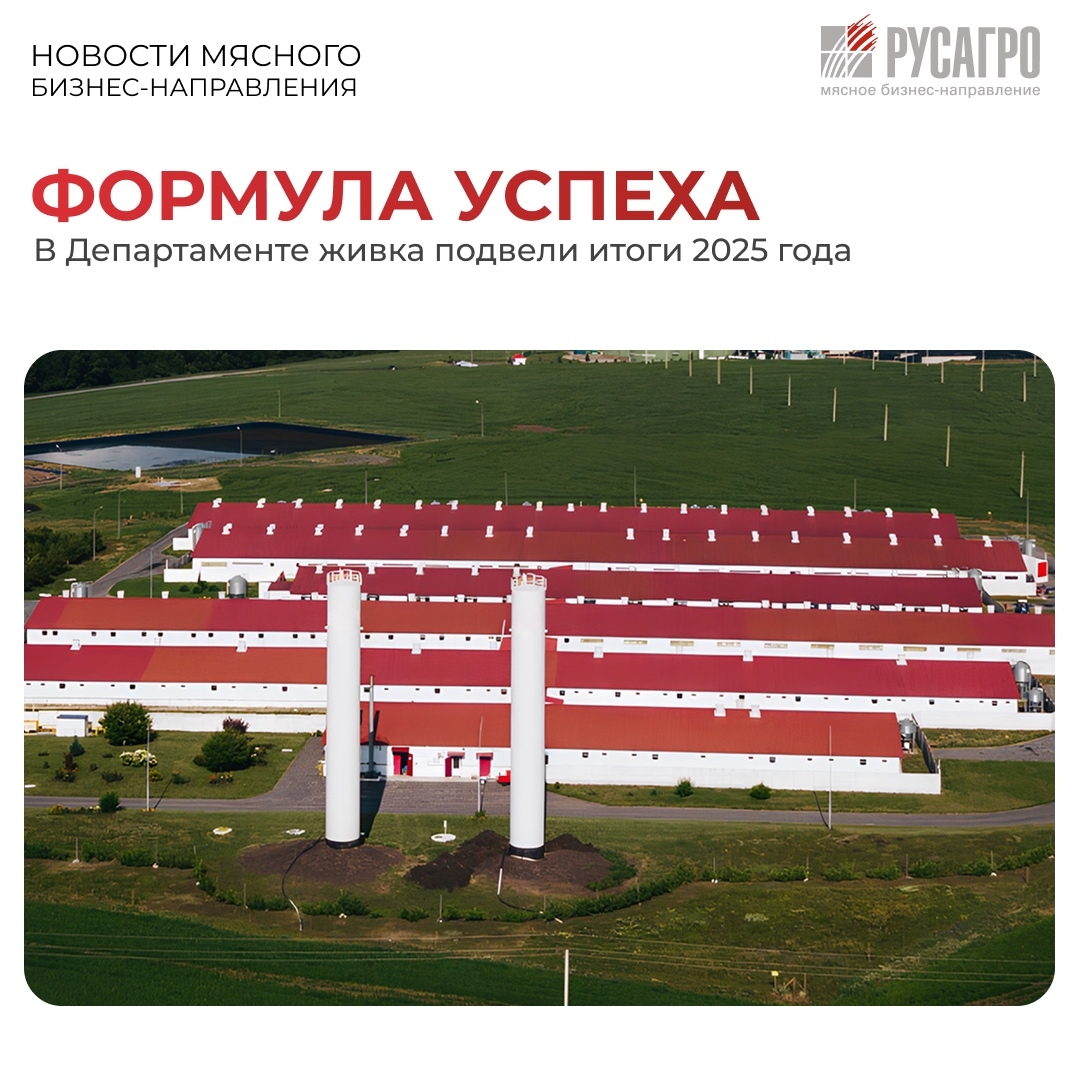 В Белгородской области в кластере «Грайворон» подвели производственные итоги работы свинокомплексов за декабрь и накопительно за 2025 год.