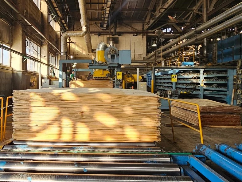 Лесопромышленная группа «Свеза» сообщила, что завершила двухэтапные исследования агрохимических свойств материалов, которые формируются в процессе…