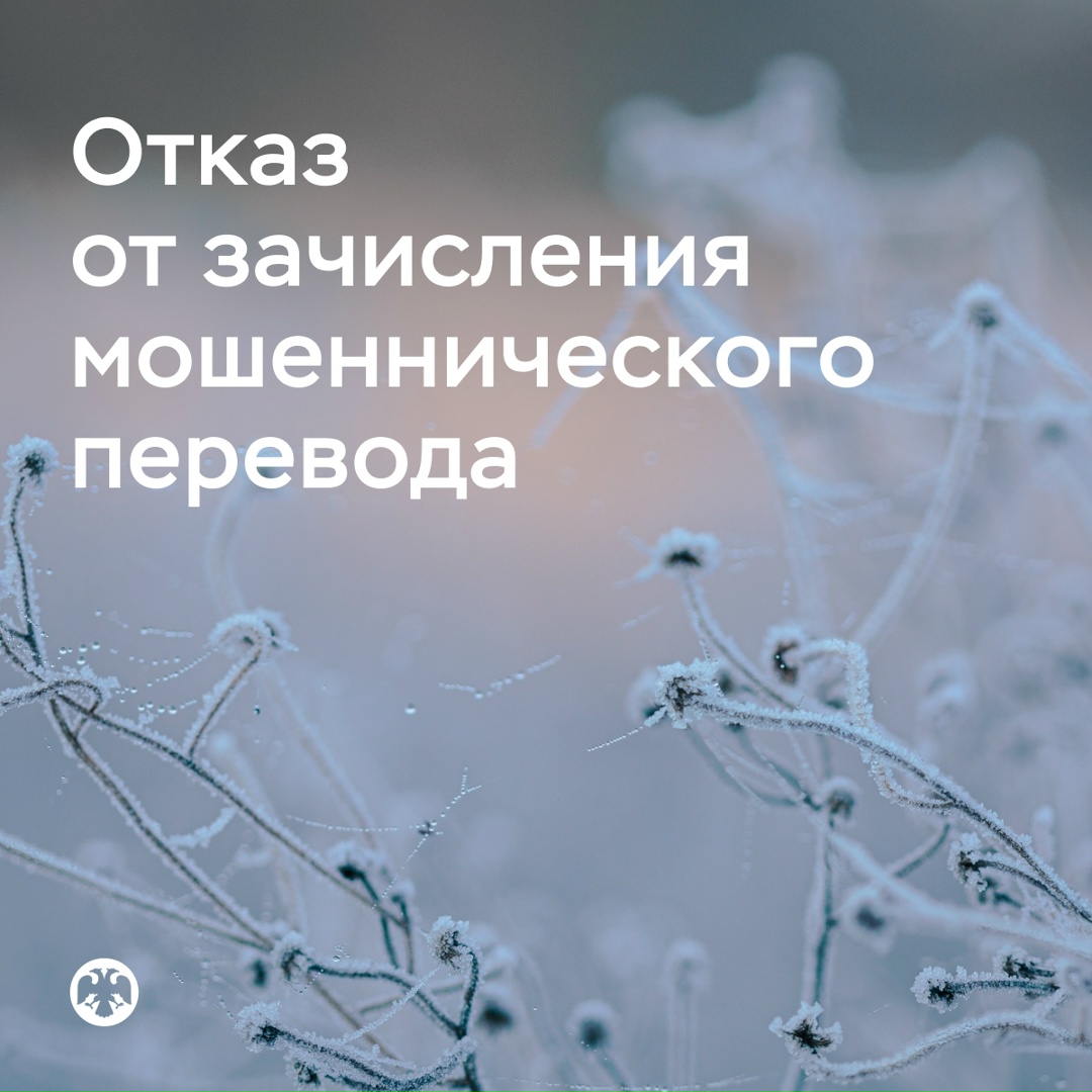 Банк России определил процедуру отказа от зачисления средств, полученных при мошенническом переводе