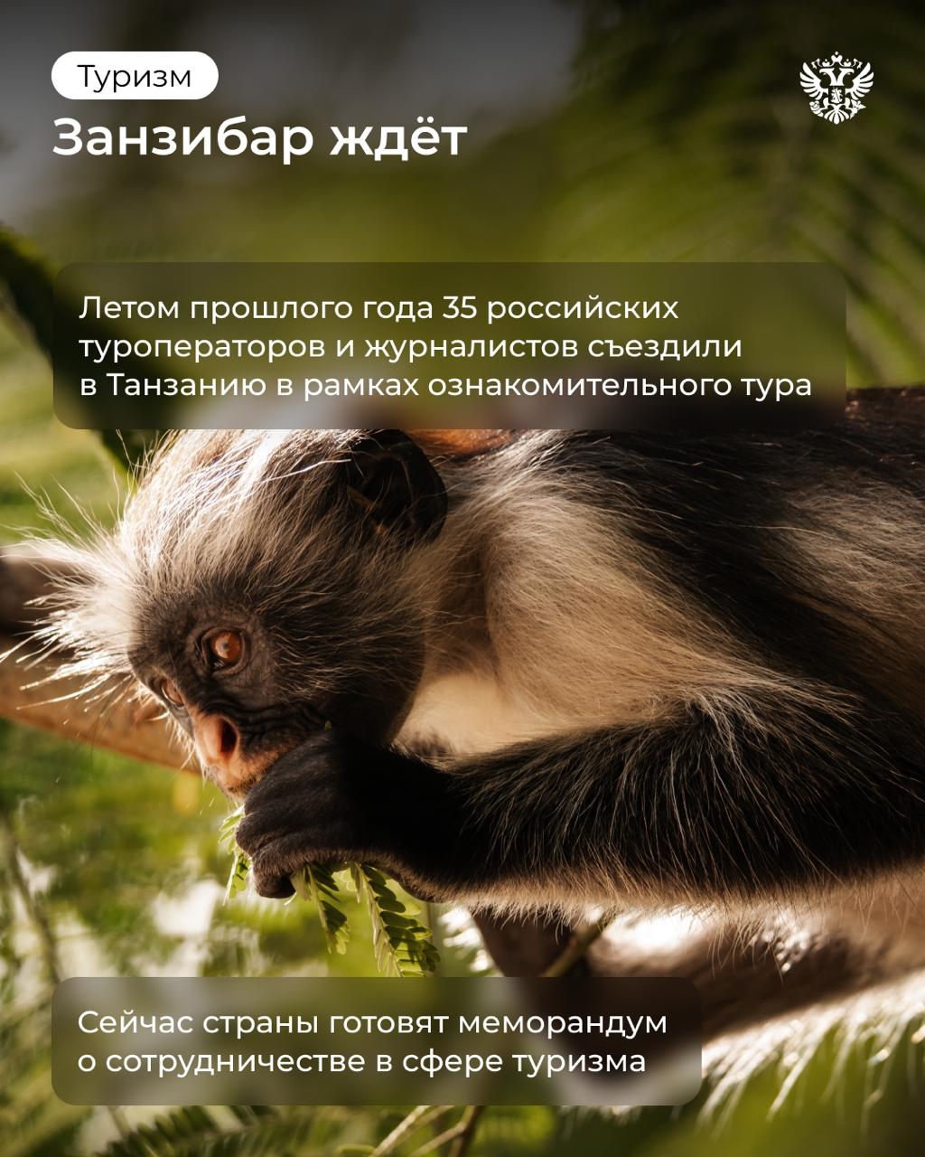 Мамбо! Если не понимаете, что это, то скоро узнаете: в России запускают сертификацию по языку суахили
