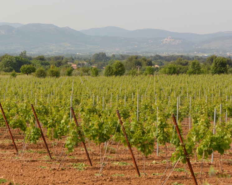 Агросектор Крыма сохраняет консервативную систему севооборота, однако в условиях дефицита воды и климатической нестабильности регион планирует постепенно…