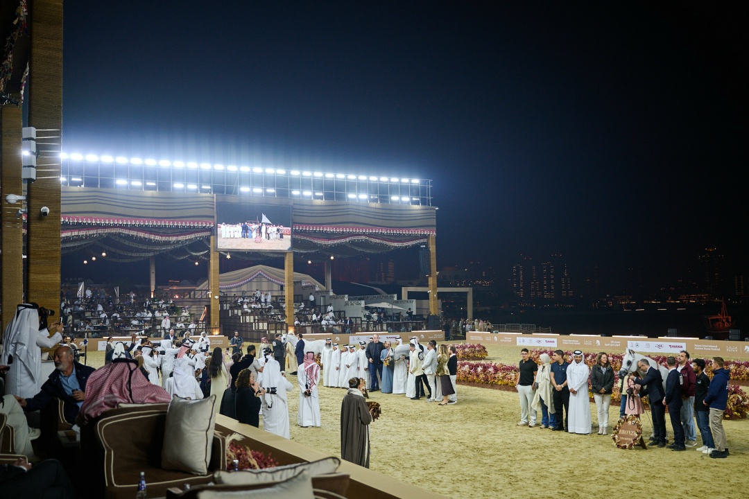 Музеи Катара могут стать любимыми площадками российских выставочных проектов.