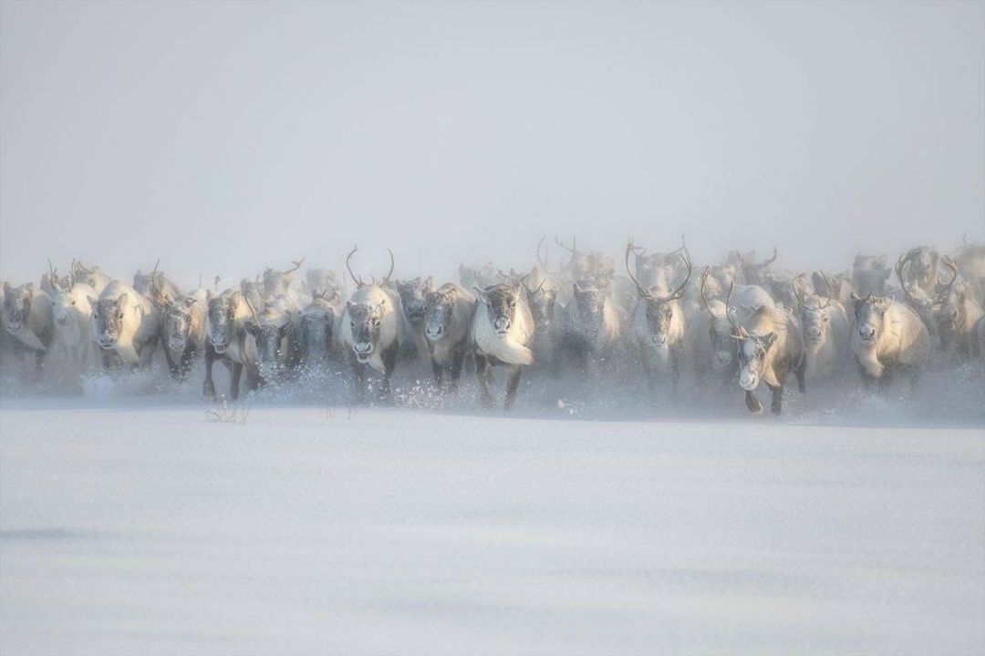 4 федеральные выставки — и везде фотоработы нефтяника ЛУКОЙЛа