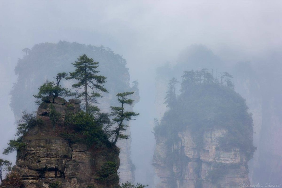 4 федеральные выставки — и везде фотоработы нефтяника ЛУКОЙЛа