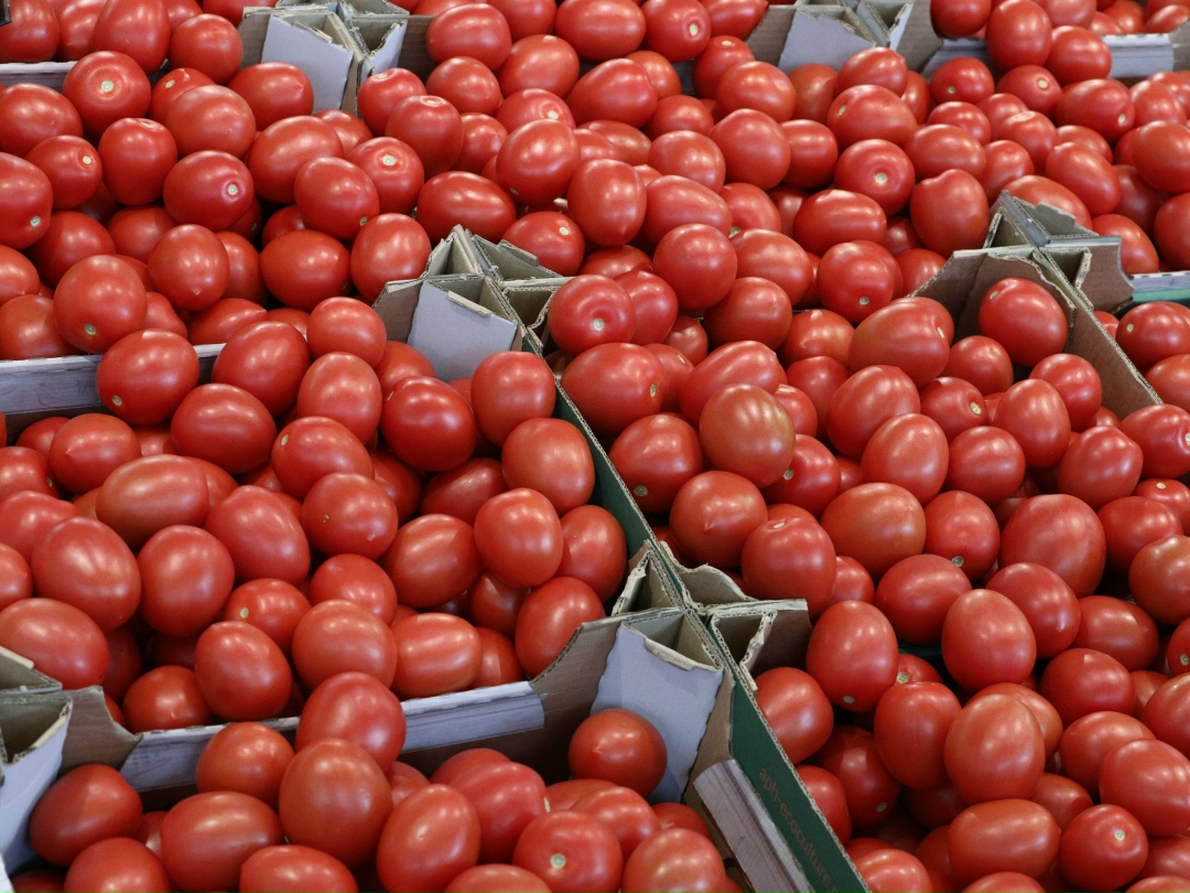 Минсельхоз планирует ввести повышающий коэффициент для субсидирования овощеводов, которые выращивают продукцию в закрытом грунте с 1 января по 30 апреля,…