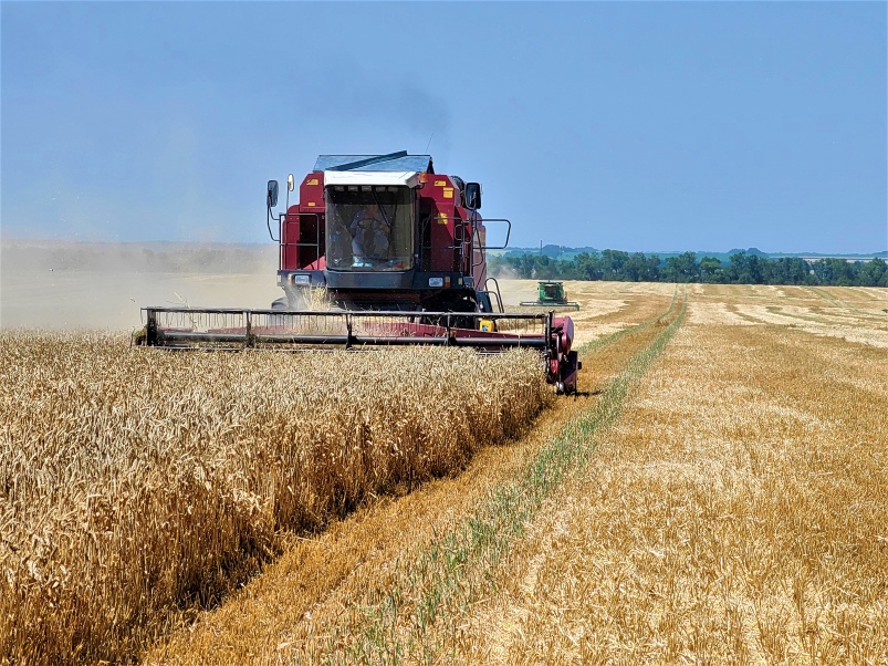 «Август-Агро» завершил 2025 год с ростом производственных показателей на фоне снижения рентабельности агросектора