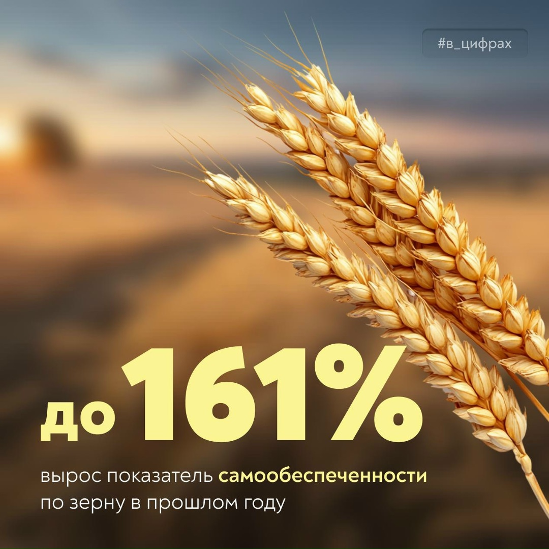 Россия укрепила продовольственную безопасность по ключевым позициям