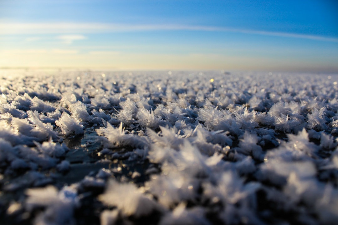 Таких цветов вам еще не дарили А всё потому, что такой букет невозможно собрать, и полюбоваться им можно только при определенных условиях: ледяные цветы…