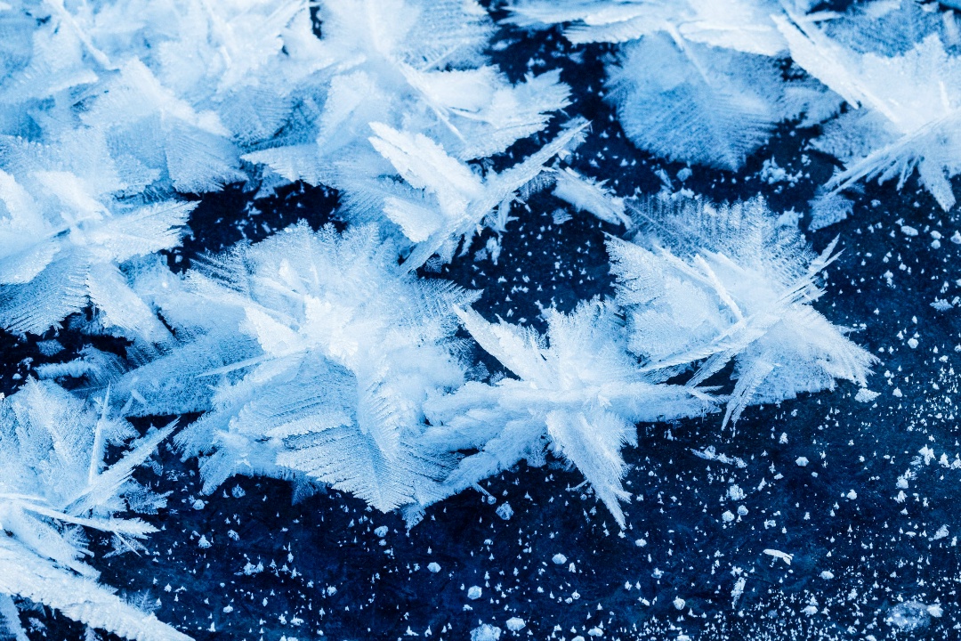 Таких цветов вам еще не дарили А всё потому, что такой букет невозможно собрать, и полюбоваться им можно только при определенных условиях: ледяные цветы…