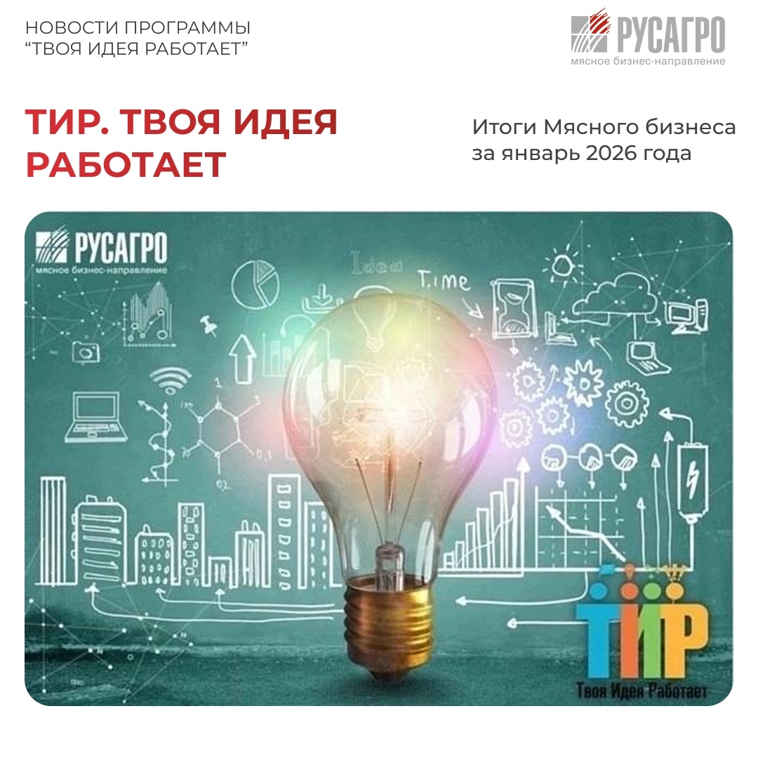 Мясное бизнес-направление «Русагро» продолжает успешно реализовывать программу повышения эффективности «ТИР. Твоя Идея Работает».