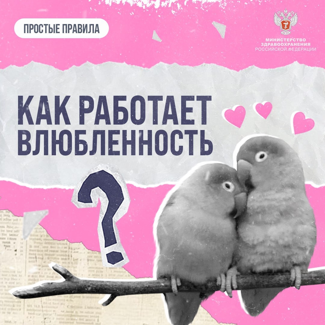 #ПростыеПравила: Как работает влюбленность