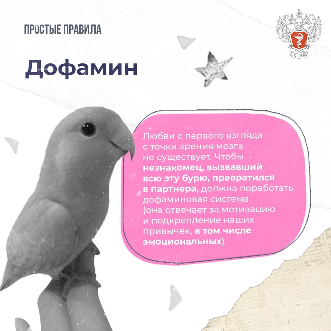 #ПростыеПравила: Как работает влюбленность