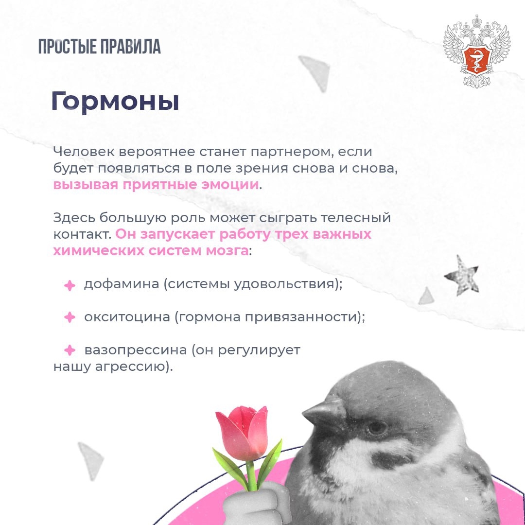 #ПростыеПравила: Как работает влюбленность