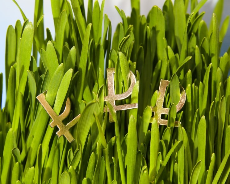 Самое интересное за неделю с 9 по 15 февраля