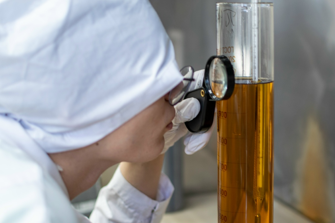 ИТОГИ ЧЕМПИОНАТА ПРОФМАСТЕРСТВА Двадцать участников регионального этапа Всероссийского чемпионата по профессиональному мастерству «Профессионалы» пройдут…