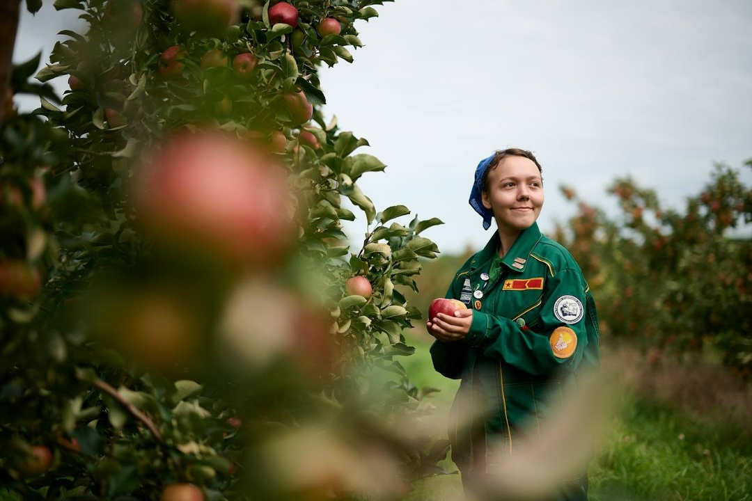 Дмитрий Чернышенко, Валерий Фальков и Григорий Гуров поздравили Российские студенческие отряды с днем их основания.