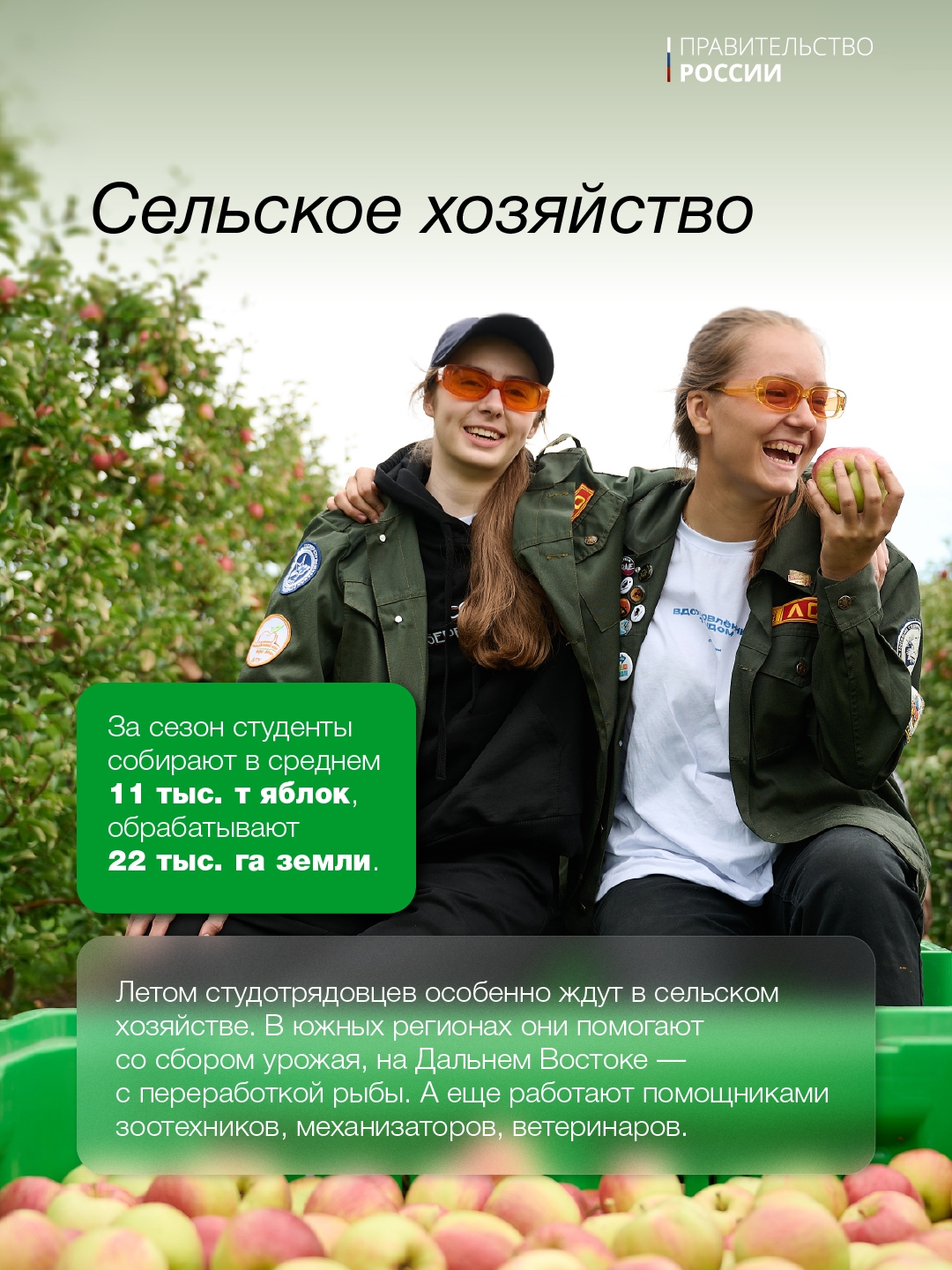 17 февраля – День российских студенческих отрядов.