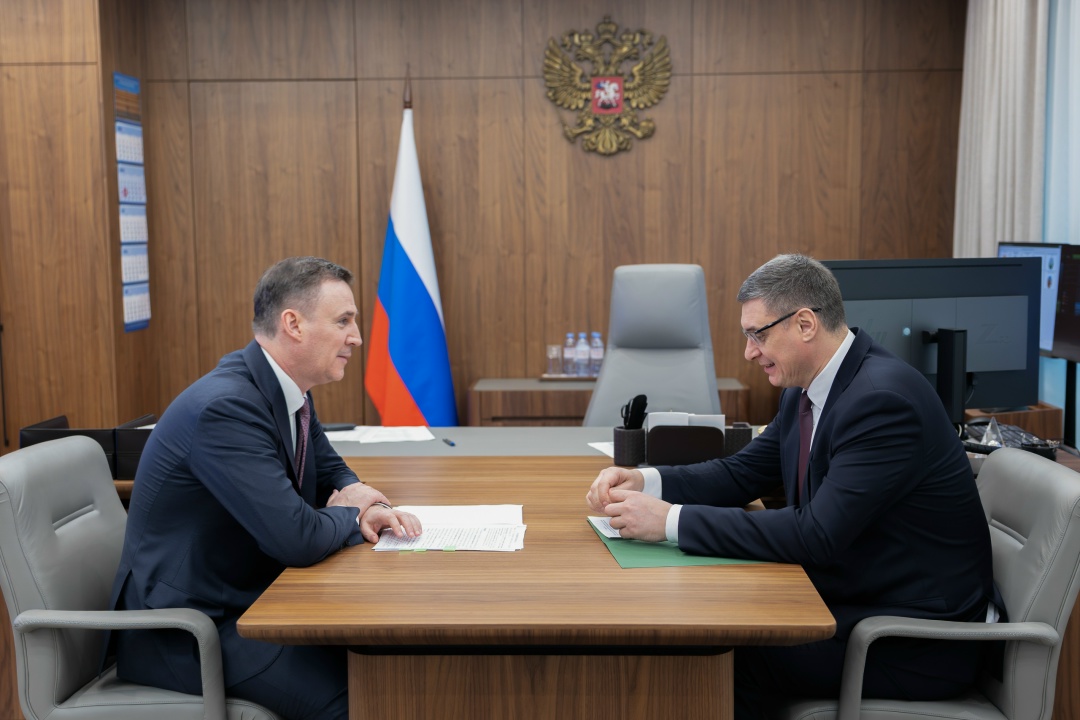 Дмитрий Патрушев встретился с губернатором Владимирской области Александром Авдеевым.