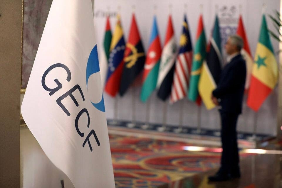 Минэнерго приняло участие в Рабочей группе по подготовке к 8-му саммиту ФСЭГ