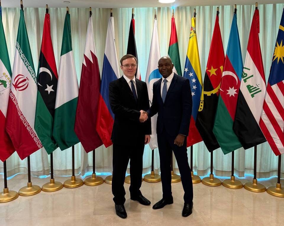 Минэнерго приняло участие в Рабочей группе по подготовке к 8-му саммиту ФСЭГ