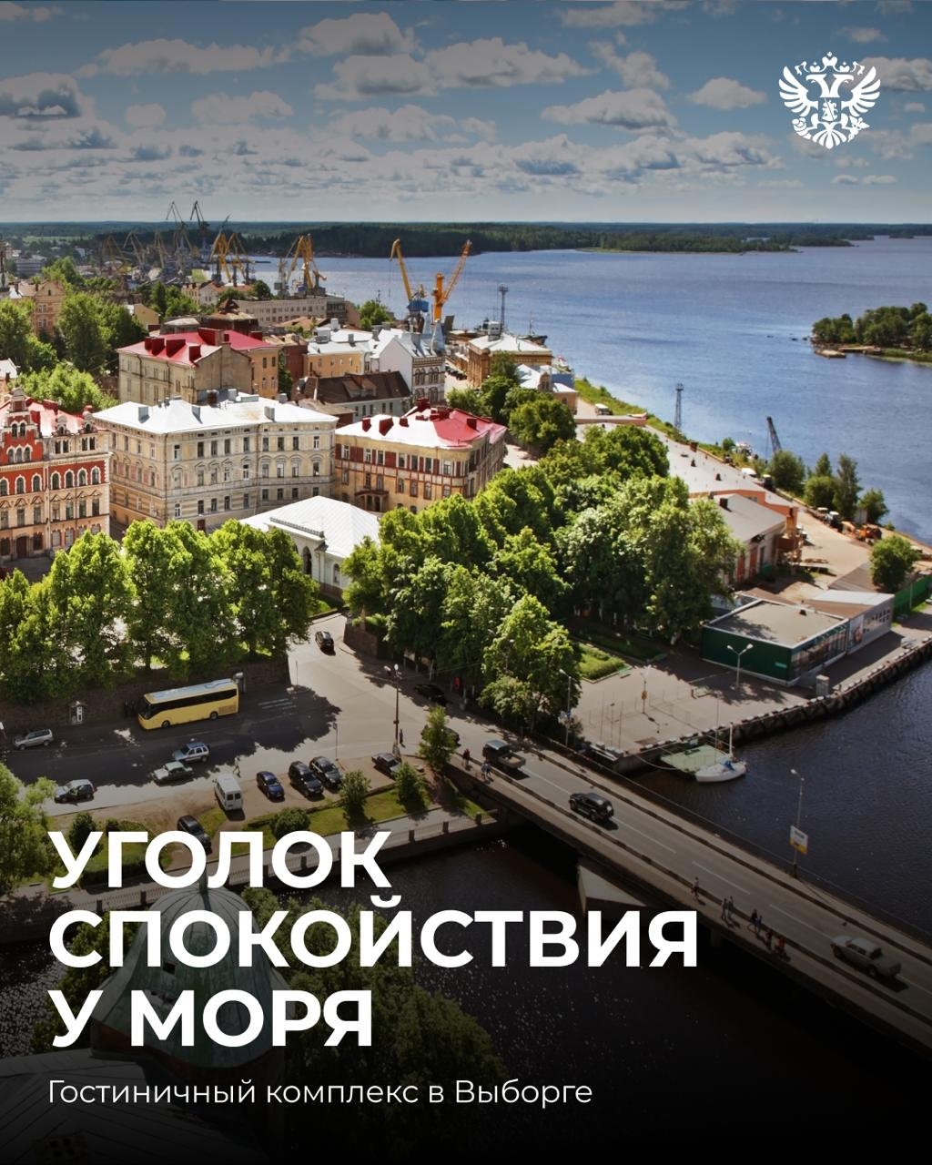 Сейчас бы лето — волны перед глазами, сосны над головой...