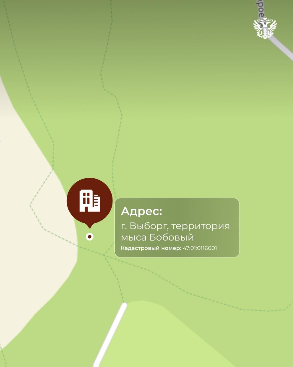 Сейчас бы лето — волны перед глазами, сосны над головой...