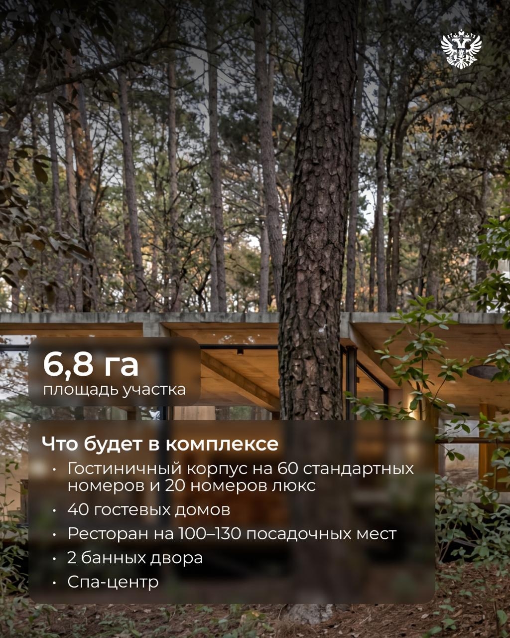 Сейчас бы лето — волны перед глазами, сосны над головой...