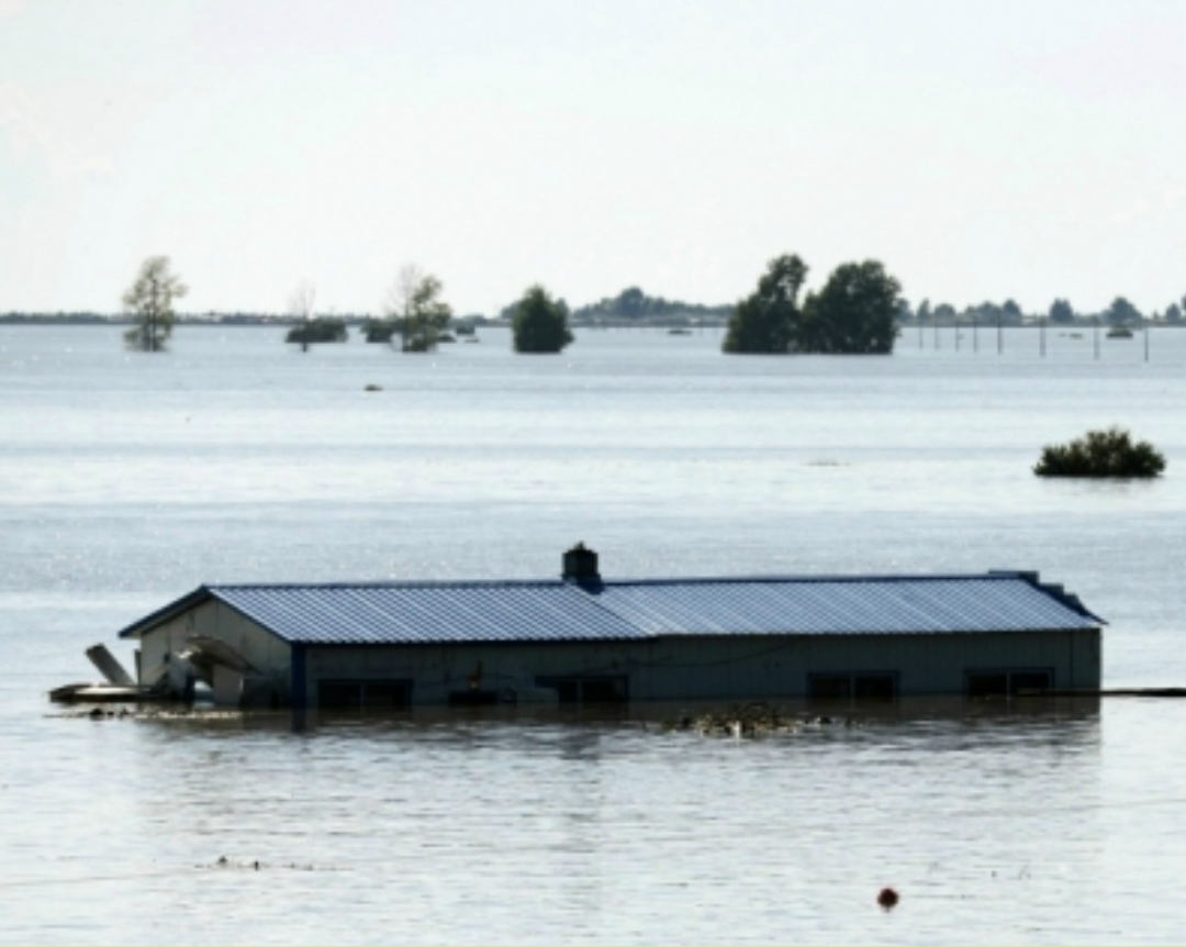 В 23 регионах, которые находятся в зоне повышенного риска паводков этой весной, застраховано 1,5 млн га озимых культур с общим объемом обязательств…