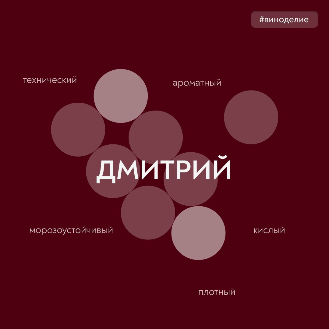 Время для новых открытий Сегодня без сложного – просто расскажем о винограде под названием «Дмитрий».