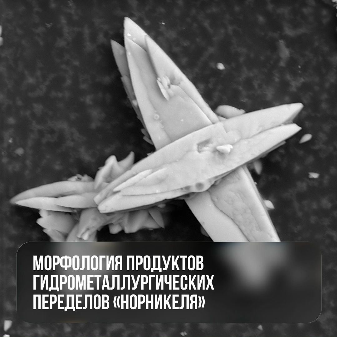 Думаете, на фото работы художников-абстракционистов?