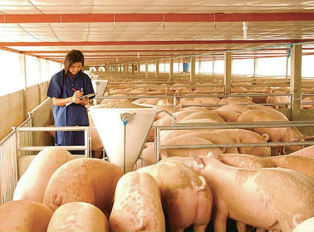 «Русагро» расширила свой земельный банк в Тамбовской области: группа стала владельцем 51% уставного капитала компании «Центральное», в состав которой входят…