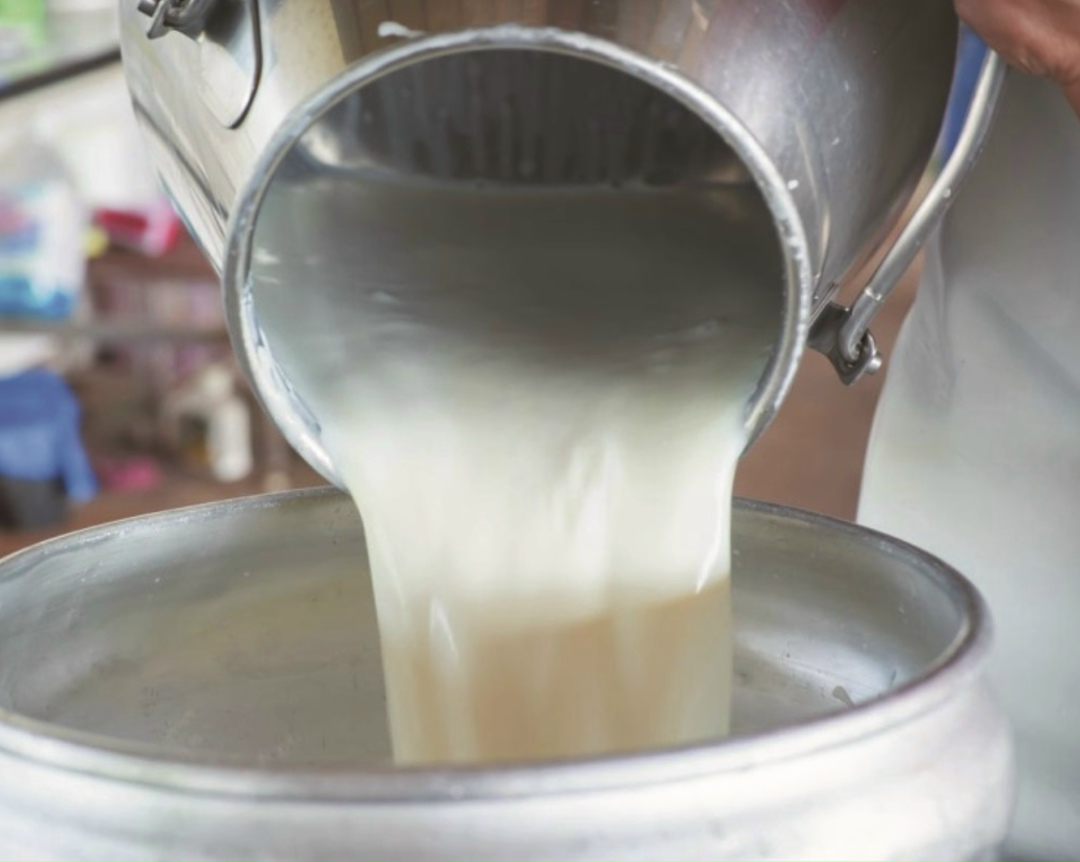 Российские производители сырого молока столкнулись с затовариванием складов. По итогам 2025 года остатки нереализованного молока в сельхозорганизациях достигли…