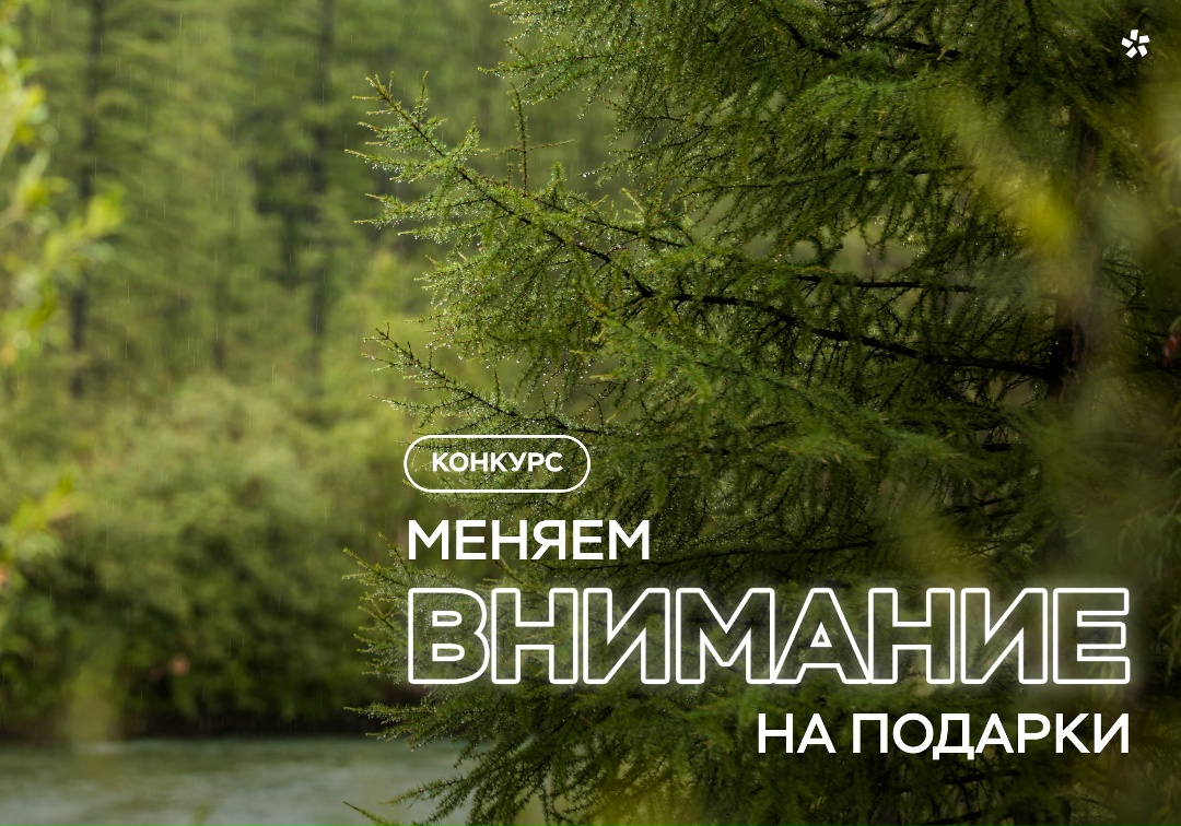 Иркутская область и озеро Байкал — места, где природа диктует свои правила, а человек учится с ней взаимодействовать