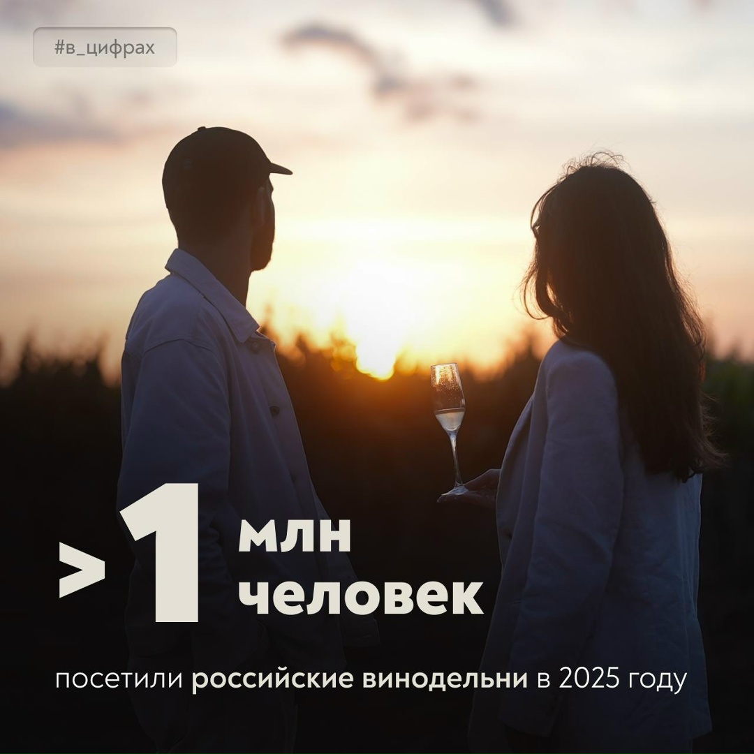 Больше 1 млн туристов! Столько гостей приняли российские винодельни в прошлом году
