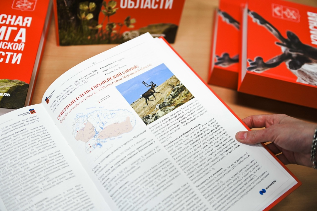Зачем обновили Красную книгу Мурманской области?