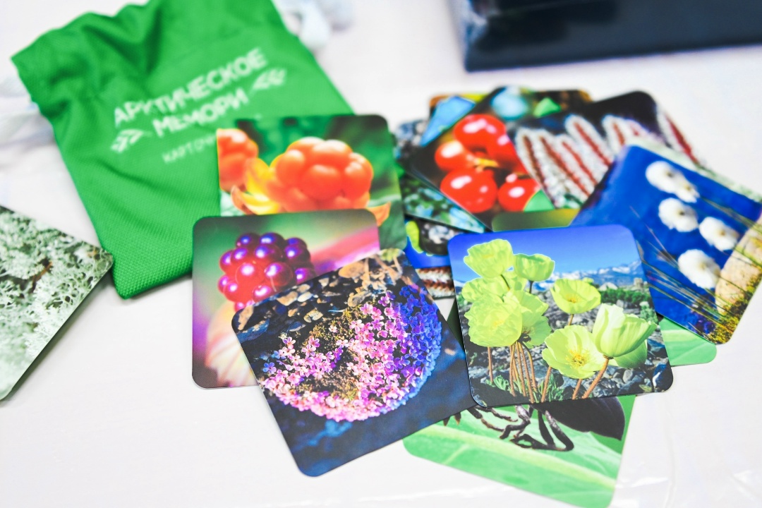 Зачем обновили Красную книгу Мурманской области?