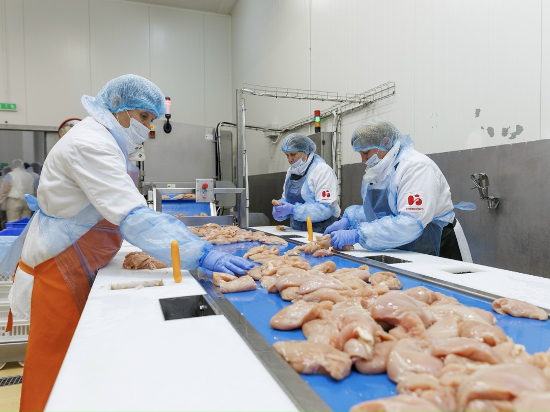 Группа «Черкизово» в прошлом году впервые в своей истории произвела более 1,5 млн т мяса в живом весе: свыше 1,1 млн т бройлера, 336 тыс. т свинины и 82 тыс. т…