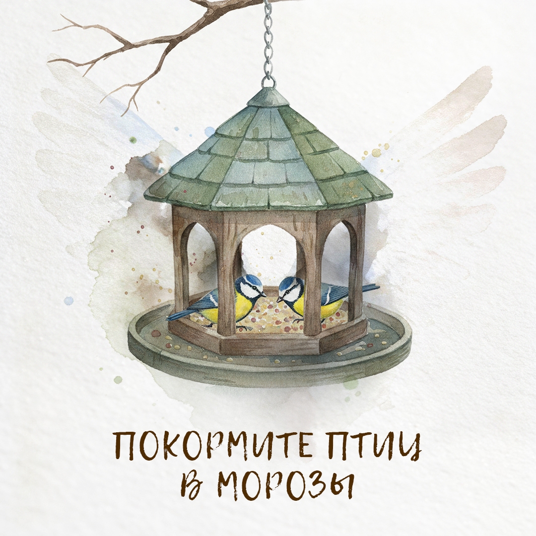 Представьте: всего за одну морозную ночь мелкие пернатые могут потерять до 10% своего веса