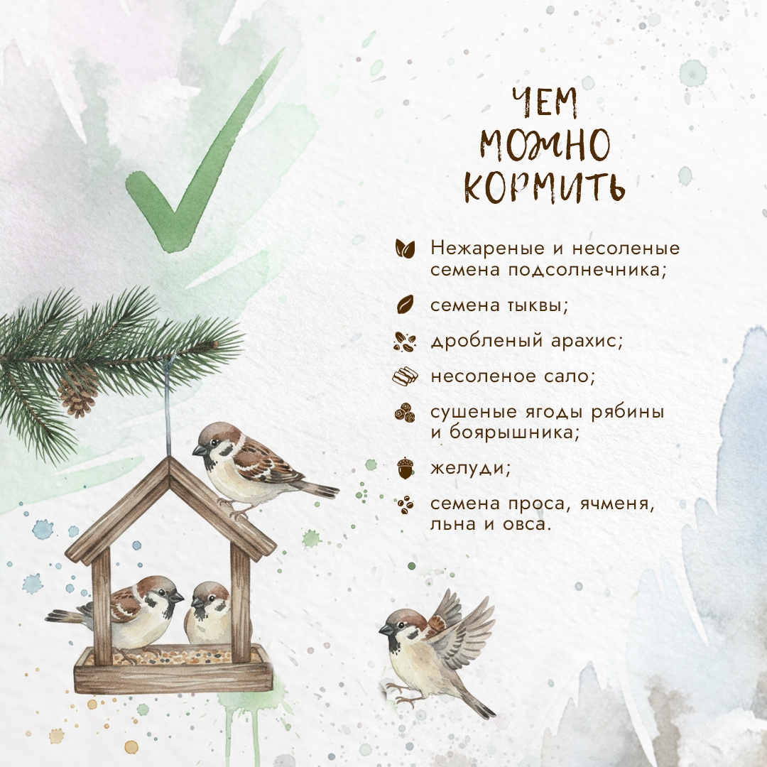 Представьте: всего за одну морозную ночь мелкие пернатые могут потерять до 10% своего веса