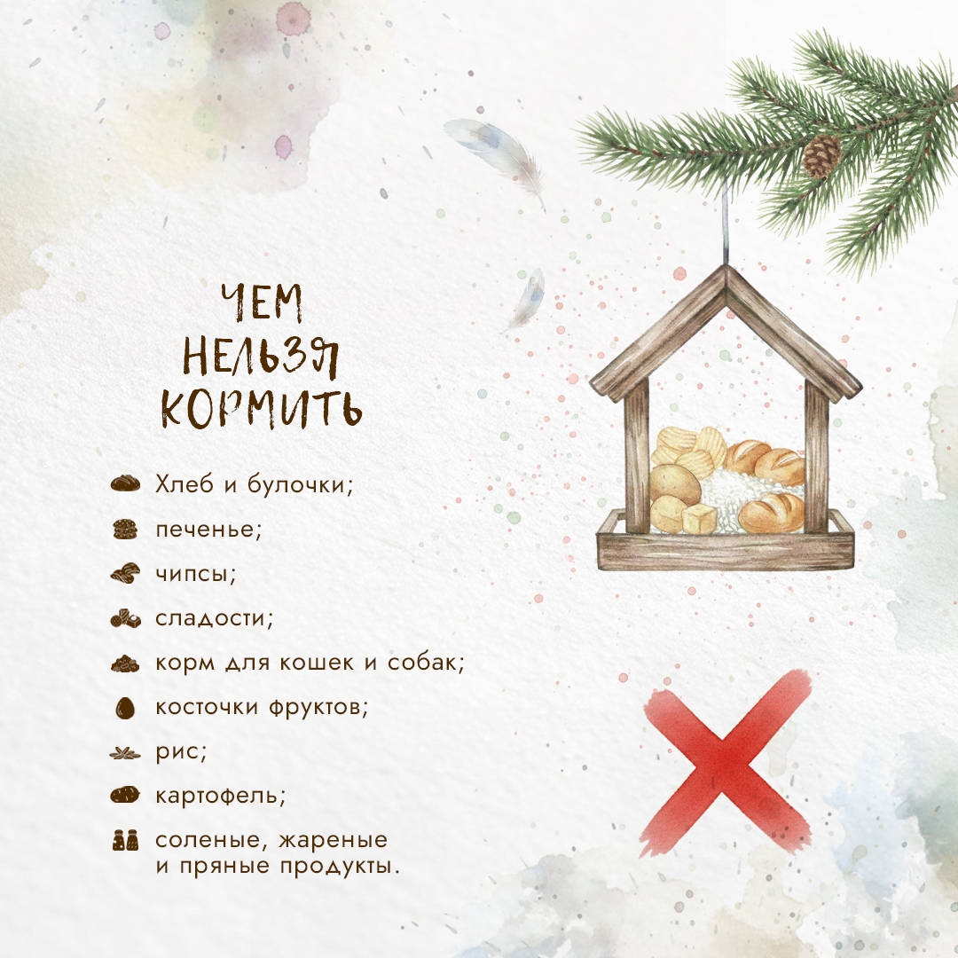 Представьте: всего за одну морозную ночь мелкие пернатые могут потерять до 10% своего веса