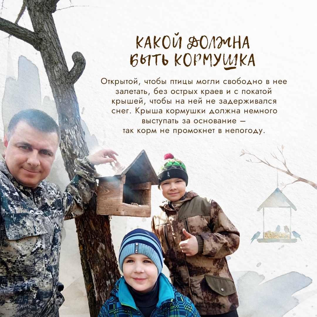 Представьте: всего за одну морозную ночь мелкие пернатые могут потерять до 10% своего веса