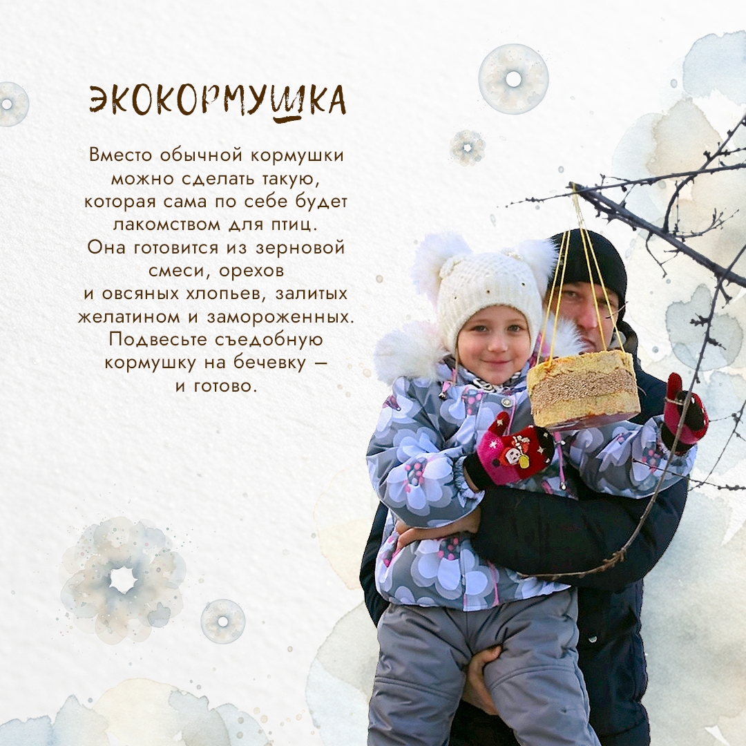 Представьте: всего за одну морозную ночь мелкие пернатые могут потерять до 10% своего веса