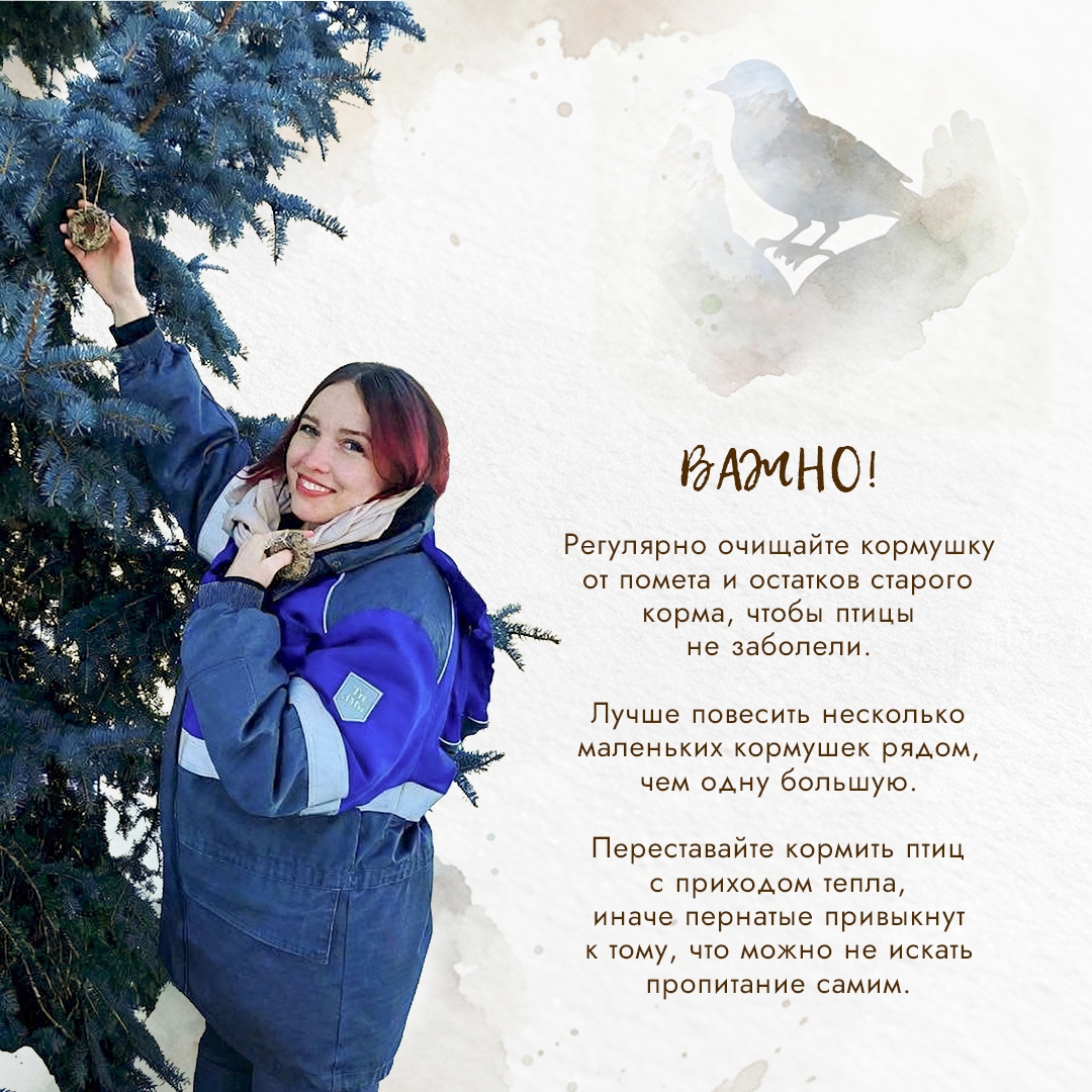 Представьте: всего за одну морозную ночь мелкие пернатые могут потерять до 10% своего веса