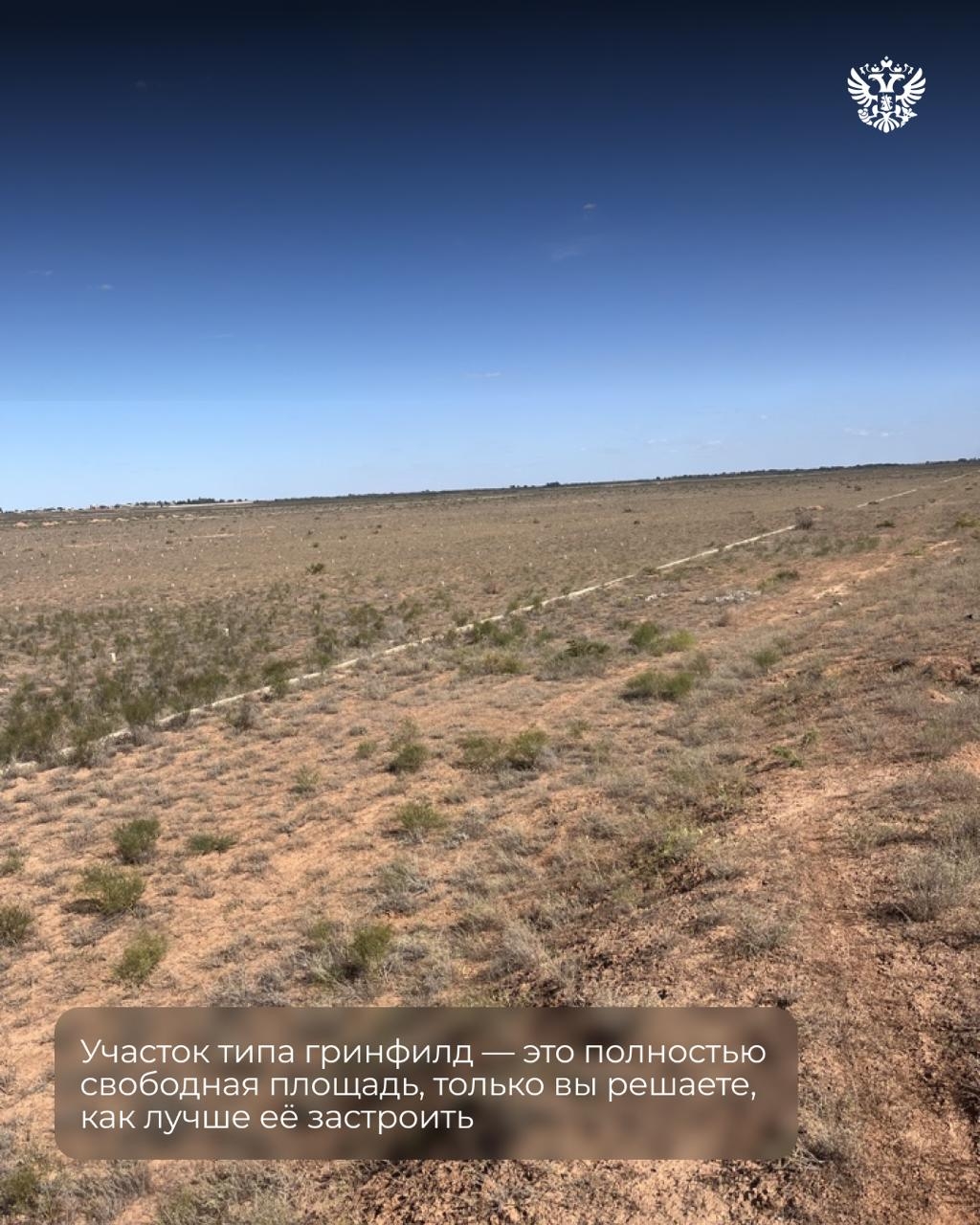 Интересный факт № 1: астраханские арбузы так хороши, что стали региональным брендом